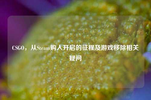 CSGO，从Steam购入开启的征程及游戏移除相关疑问