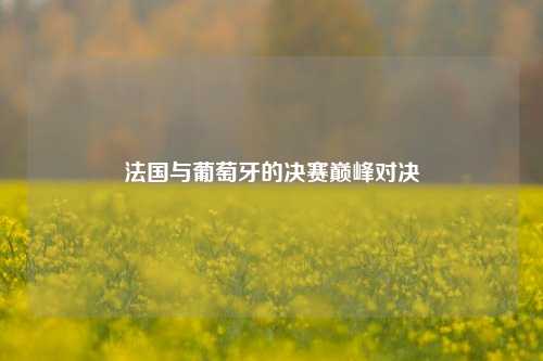 法国与葡萄牙的决赛巅峰对决
