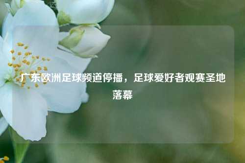 广东欧洲足球频道停播,足球爱好者观赛圣地落幕
