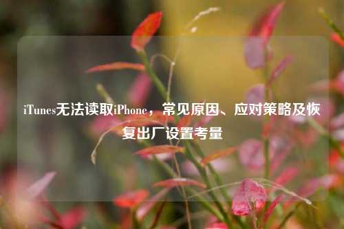 iTunes无法读取iPhone，常见原因、应对策略及恢复出厂设置考量