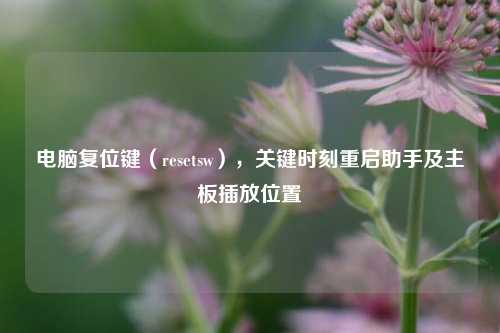 电脑复位键(resetsw),关键时刻重启助手及主板插放位置