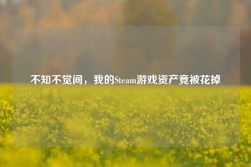 不知不觉间,我的Steam游戏资产竟被花掉