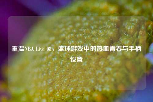 重温NBA Live 08,篮球游戏中的热血青春与手柄设置