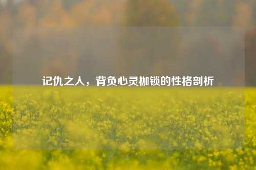 记仇之人,背负心灵枷锁的性格剖析