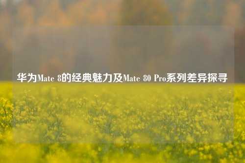 华为Mate 8的经典魅力及Mate 80 Pro系列差异探寻