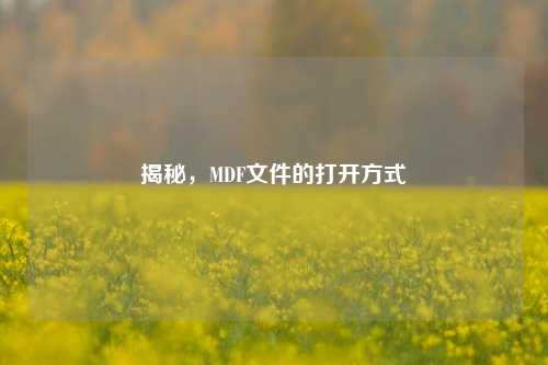 揭秘，MDF文件的打开方式