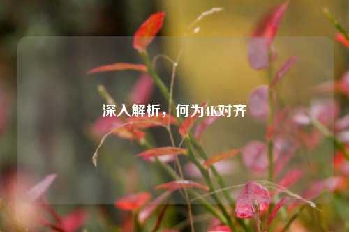 深入解析,何为4K对齐