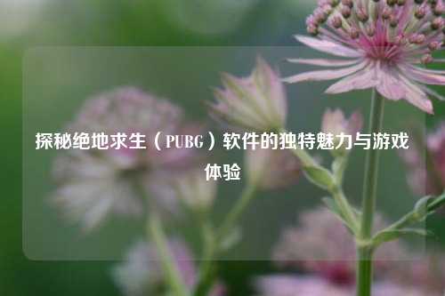 探秘绝地求生（PUBG）软件的独特魅力与游戏体验