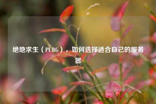 绝地求生（PUBG），如何选择适合自己的服务器