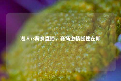 湖人VS黄蜂直播,赛场激情碰撞在即