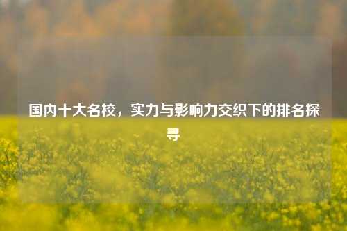 国内十大名校，实力与影响力交织下的排名探寻