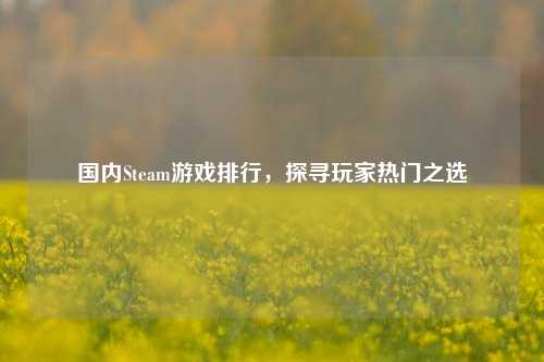国内Steam游戏排行,探寻玩家热门之选