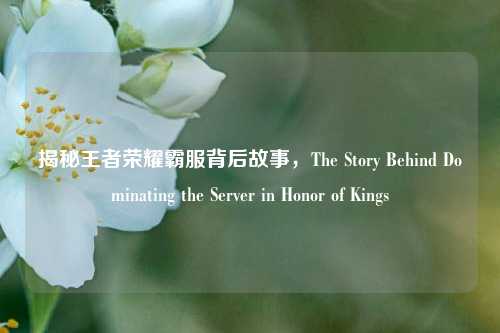 揭秘王者荣耀霸服背后故事,The Story Behind Dominating the Server in Honor of Kings