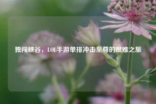 独闯峡谷,LOL手游单排冲击至尊的艰难之旅