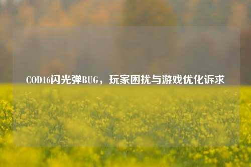 COD16闪光弹BUG,玩家困扰与游戏优化诉求