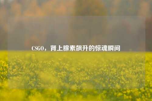 CSGO，肾上腺素飙升的惊魂瞬间