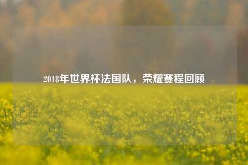 2018年世界杯法国队，荣耀赛程回顾