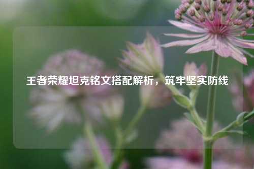 王者荣耀坦克铭文搭配解析,筑牢坚实防线