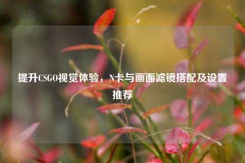 提升CSGO视觉体验，N卡与画面滤镜搭配及设置推荐