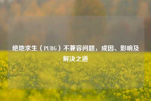 绝地求生(PUBG)不兼容问题,成因、影响及解决之道