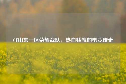 CF山东一区荣耀战队,热血铸就的电竞传奇