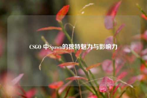 CSGO 中Spawn的独特魅力与影响力