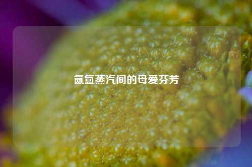 氤氲蒸汽间的母爱芬芳