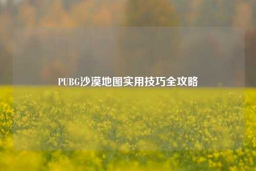 PUBG沙漠地图实用技巧全攻略