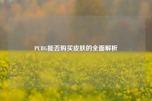 PUBG能否购买皮肤的全面解析