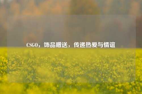 CSGO,饰品赠送,传递热爱与情谊