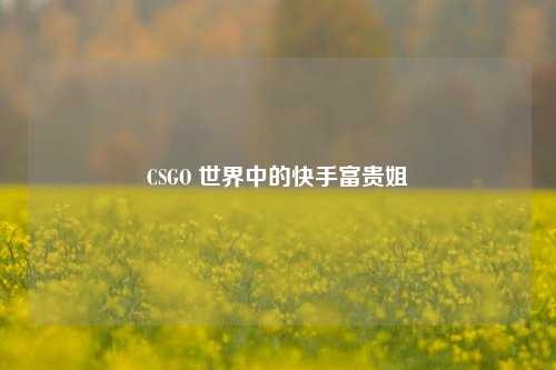CSGO 世界中的快手富贵姐