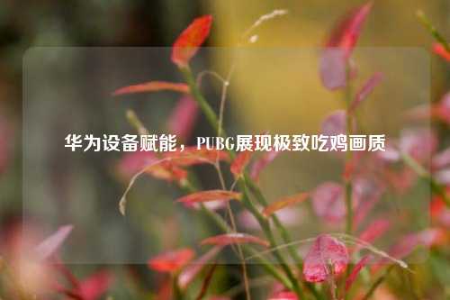 华为设备赋能，PUBG展现极致吃鸡画质