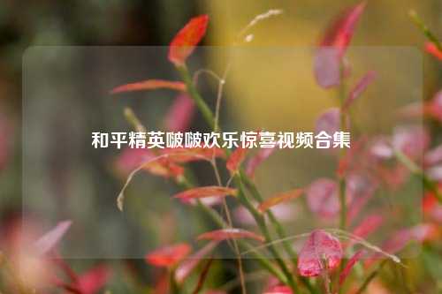和平精英啵啵欢乐惊喜视频合集