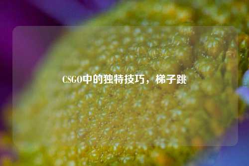 CSGO中的独特技巧,梯子跳