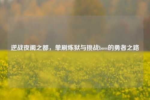 逆战夜阑之都，单刷炼狱与挑战boss的勇者之路