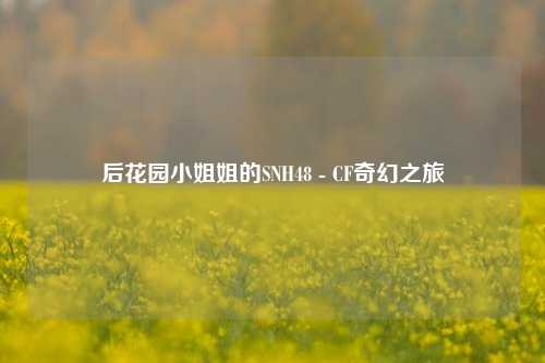 后花园小姐姐的SNH48 - CF奇幻之旅