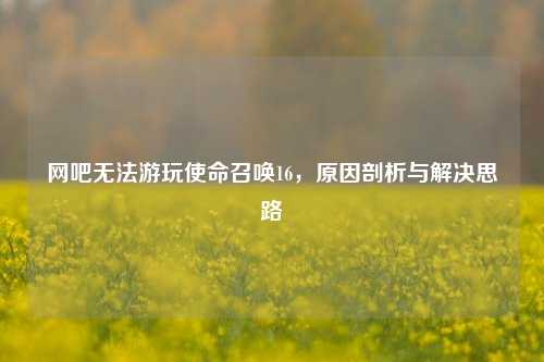 网吧无法游玩使命召唤16，原因剖析与解决思路