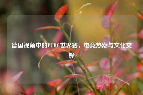 德国视角中的PUBG世界赛,电竞热潮与文化交锋