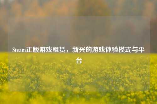 Steam正版游戏租赁,新兴的游戏体验模式与平台