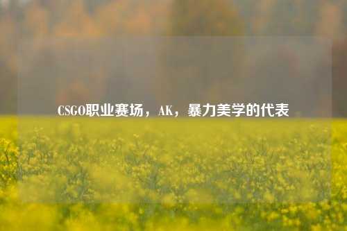 CSGO职业赛场，AK，暴力美学的代表