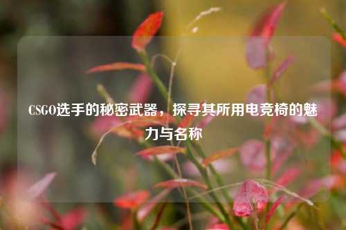 CSGO选手的秘密武器，探寻其所用电竞椅的魅力与名称