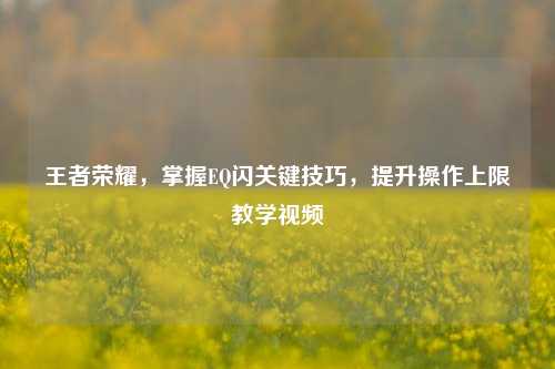 王者荣耀,掌握EQ闪关键技巧,提升操作上限教学视频