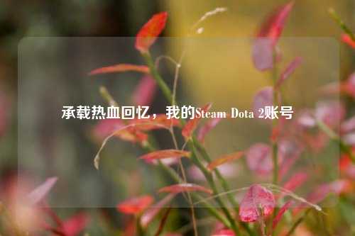 承载热血回忆,我的Steam Dota 2账号