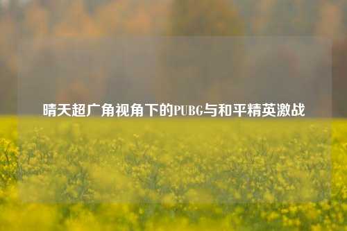 晴天超广角视角下的PUBG与和平精英激战