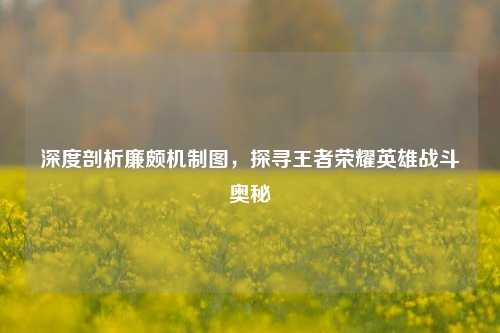 深度剖析廉颇机制图,探寻王者荣耀英雄战斗奥秘