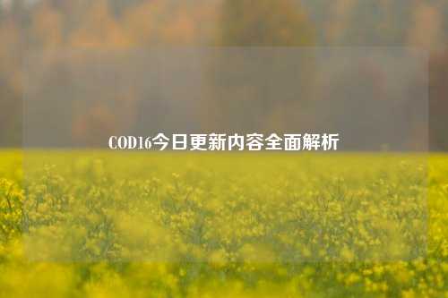 COD16今日更新内容全面解析
