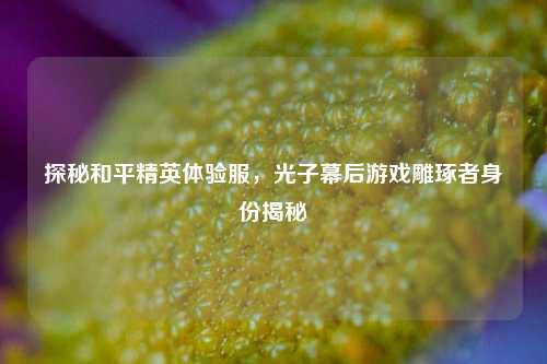 探秘和平精英体验服，光子幕后游戏雕琢者身份揭秘
