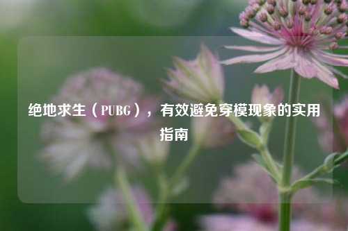 绝地求生（PUBG），有效避免穿模现象的实用指南