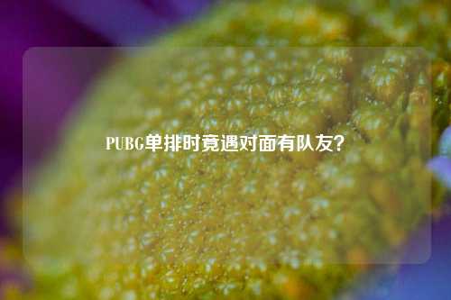 PUBG单排时竟遇对面有队友?