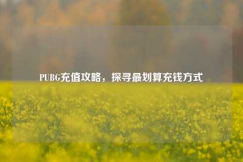 PUBG充值攻略，探寻最划算充钱方式